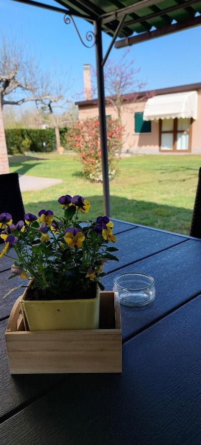 Appartamenti Da Michela Cavallino-Treporti Extérieur photo